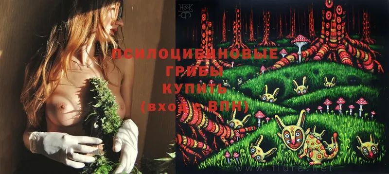 Галлюциногенные грибы Magic Shrooms  mega как зайти  Шлиссельбург 